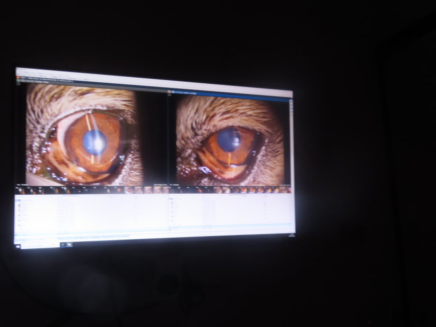 ファイル 8986-3.jpg