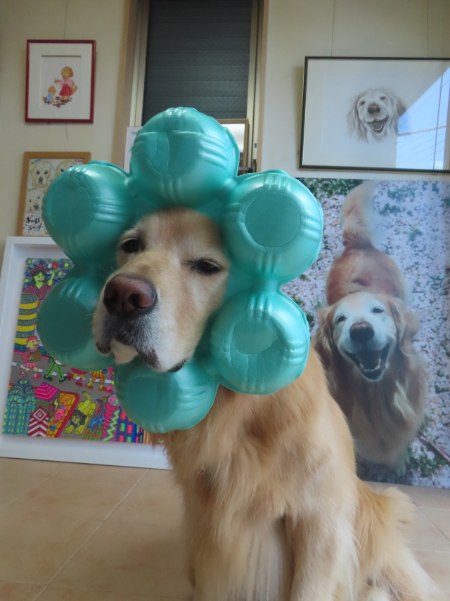 ファイル 8988-1.jpg