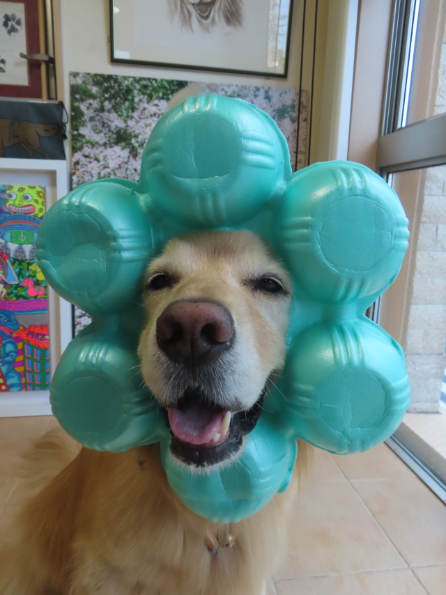 ファイル 8988-5.jpg