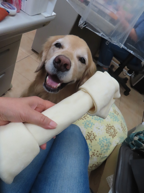 ファイル 8992-3.jpg