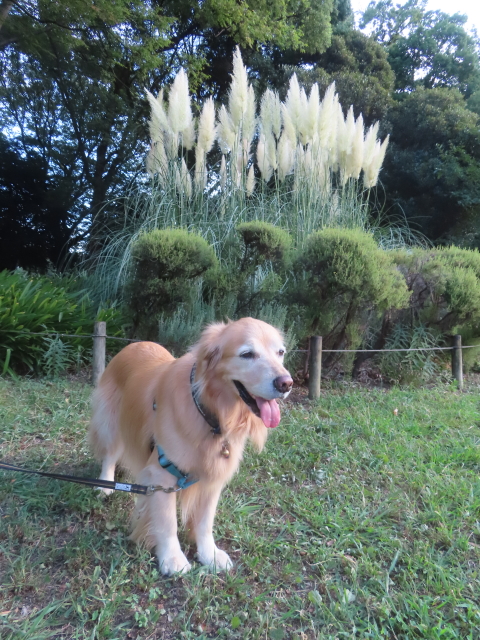 ファイル 8993-3.jpg