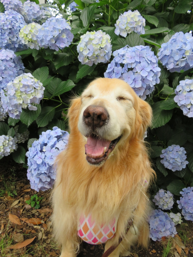 ファイル 8994-4.jpg