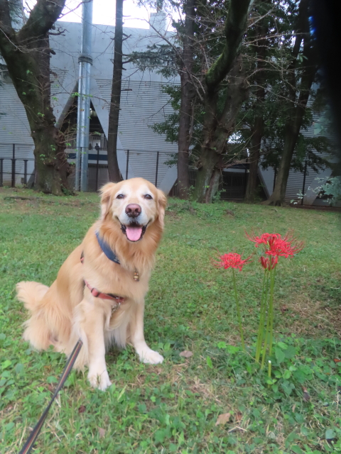 ファイル 8995-3.jpg