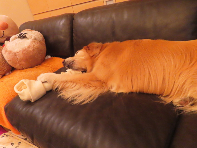 ファイル 8996-2.jpg