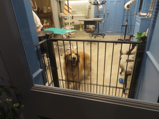 ファイル 8997-1.jpg