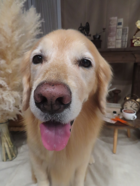 ファイル 8997-3.jpg