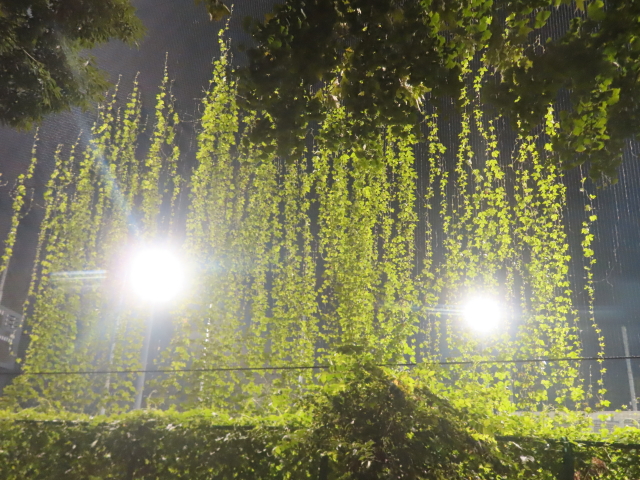 ファイル 8997-5.jpg