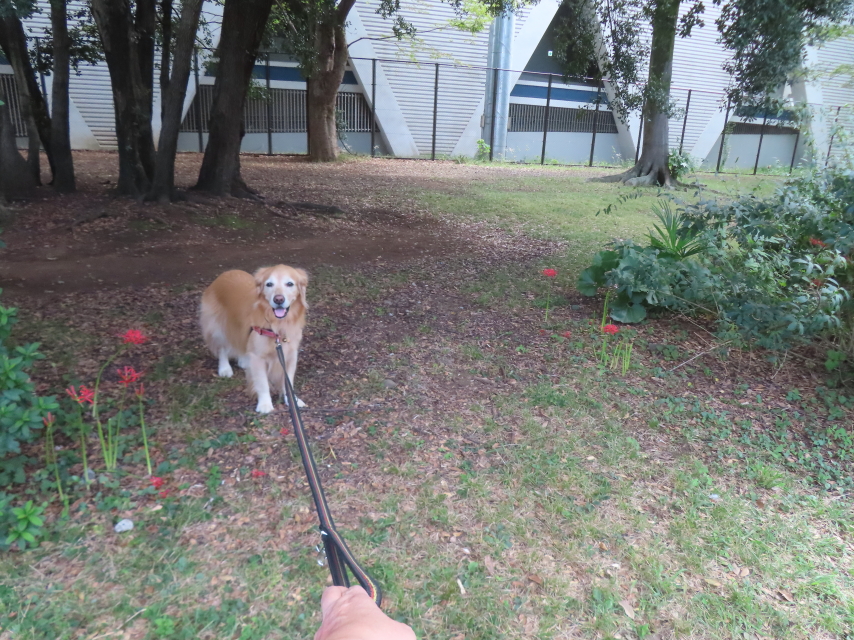 ファイル 8998-4.jpg