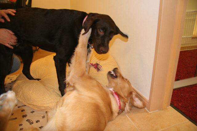 ファイル 90-2.jpg