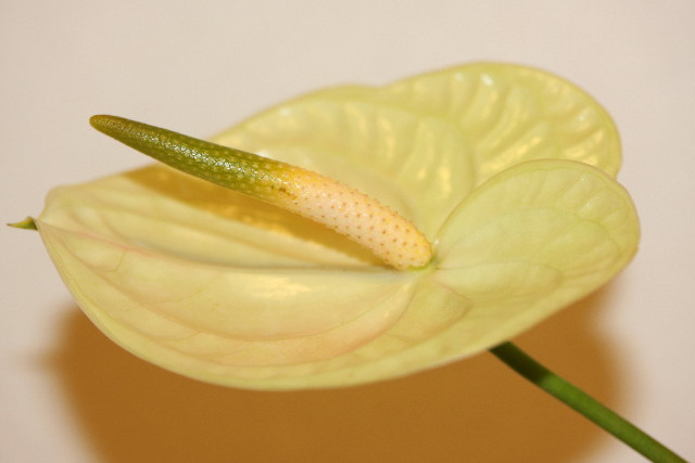 ファイル 900-4.jpg