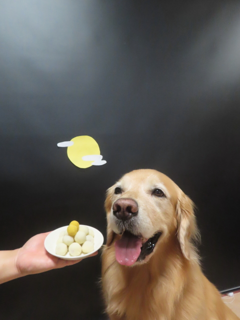 ファイル 9000-2.jpg