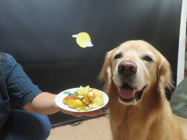 ファイル 9000-3.jpg