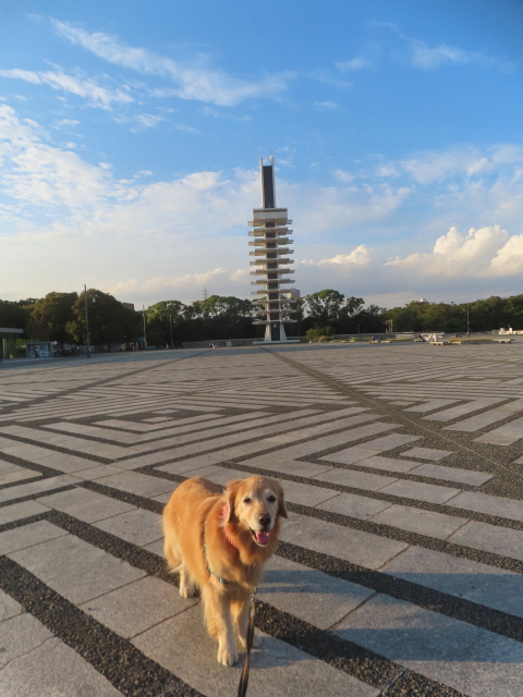 ファイル 9001-4.jpg