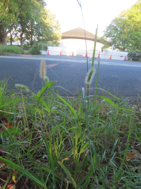 ファイル 9001-5.jpg