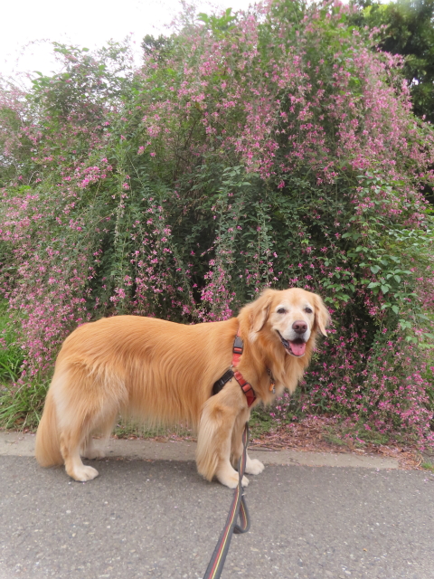 ファイル 9002-1.jpg