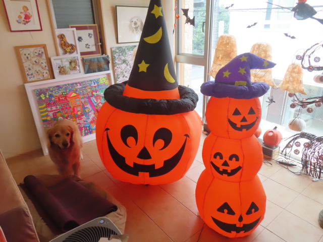 ファイル 9002-5.jpg