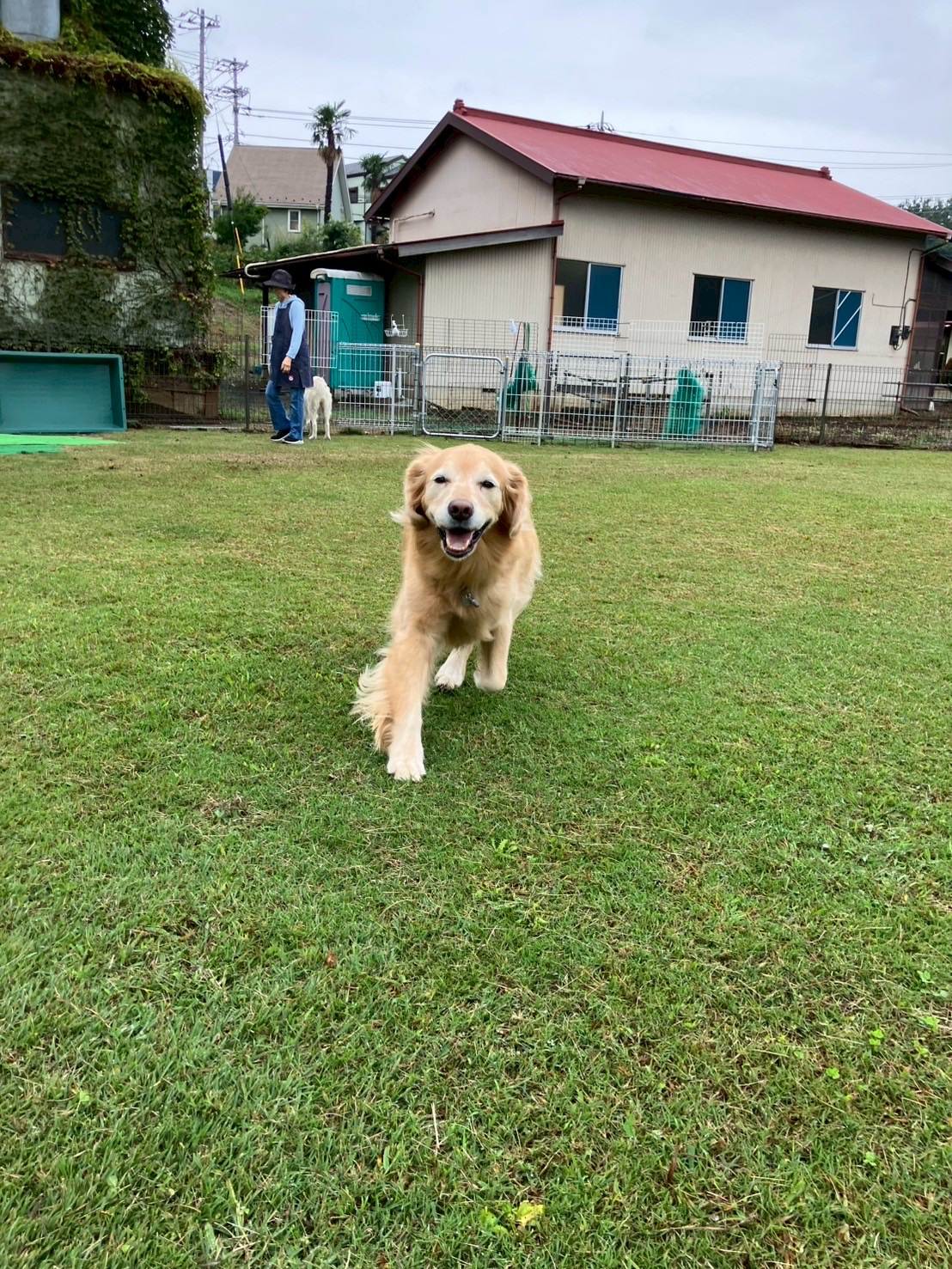 ファイル 9003-1.jpg