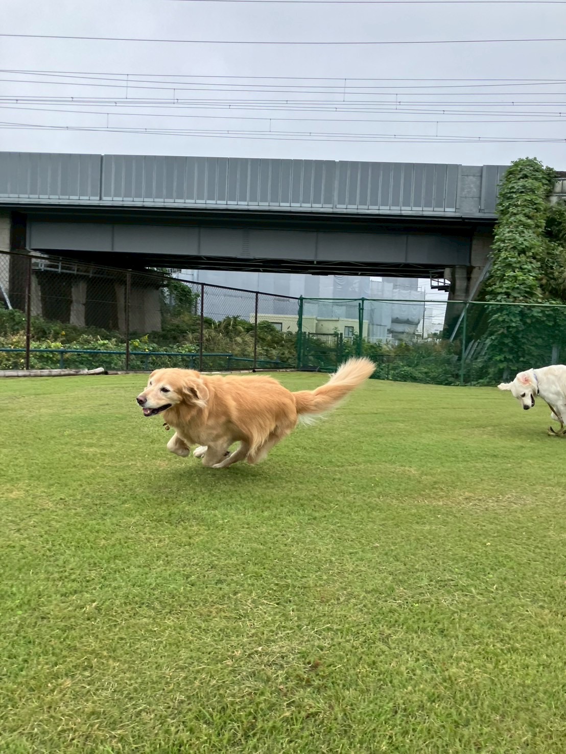 ファイル 9003-2.jpg