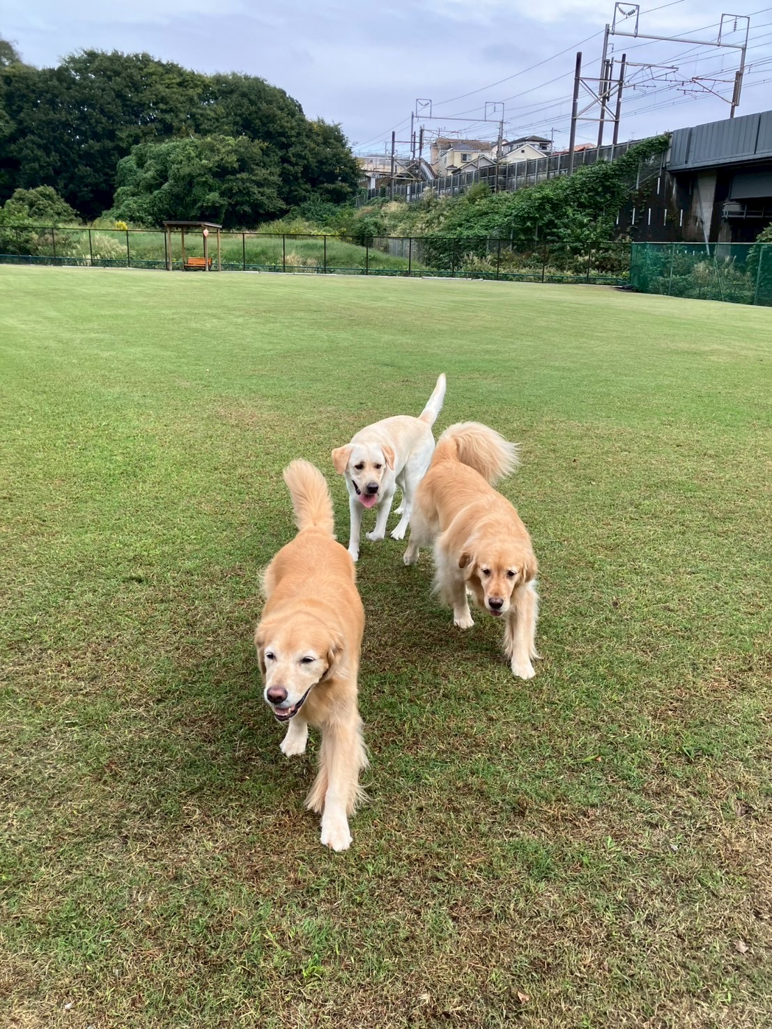 ファイル 9003-3.jpg