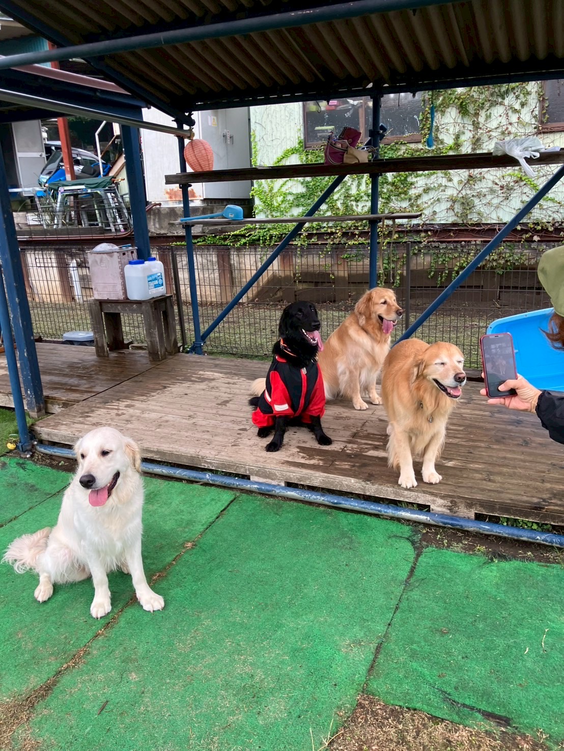 ファイル 9003-4.jpg