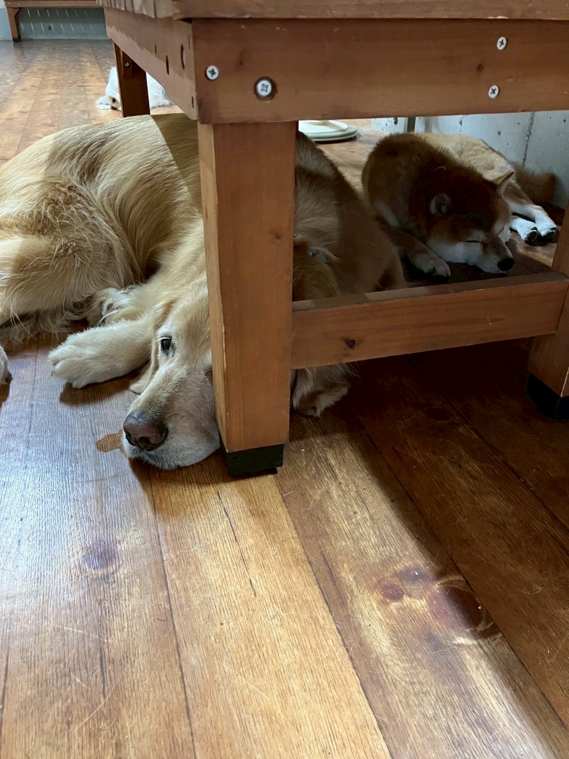 ファイル 9003-5.jpg