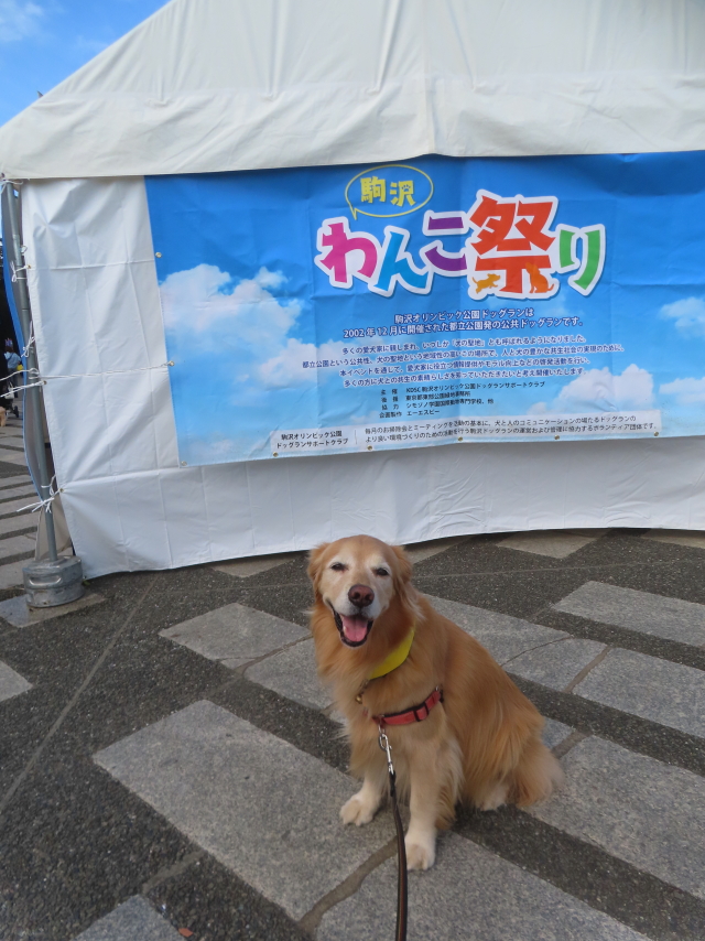 ファイル 9004-1.jpg