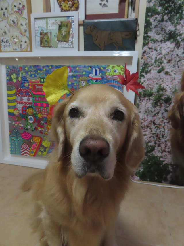 ファイル 9005-5.jpg