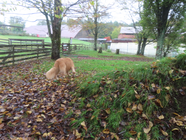 ファイル 9007-4.jpg