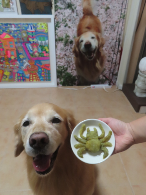 ファイル 9009-2.jpg