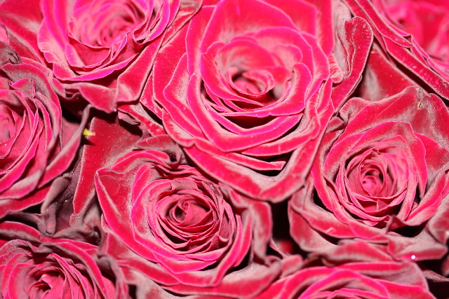 ファイル 901-5.jpg