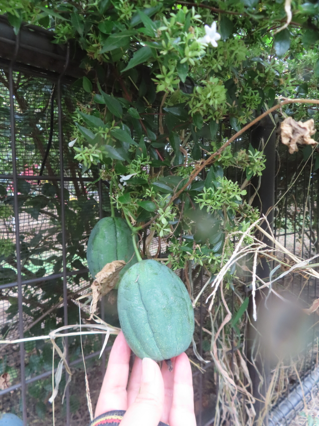 ファイル 9011-3.jpg