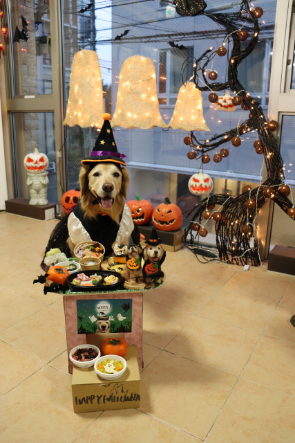 ファイル 9012-2.jpg