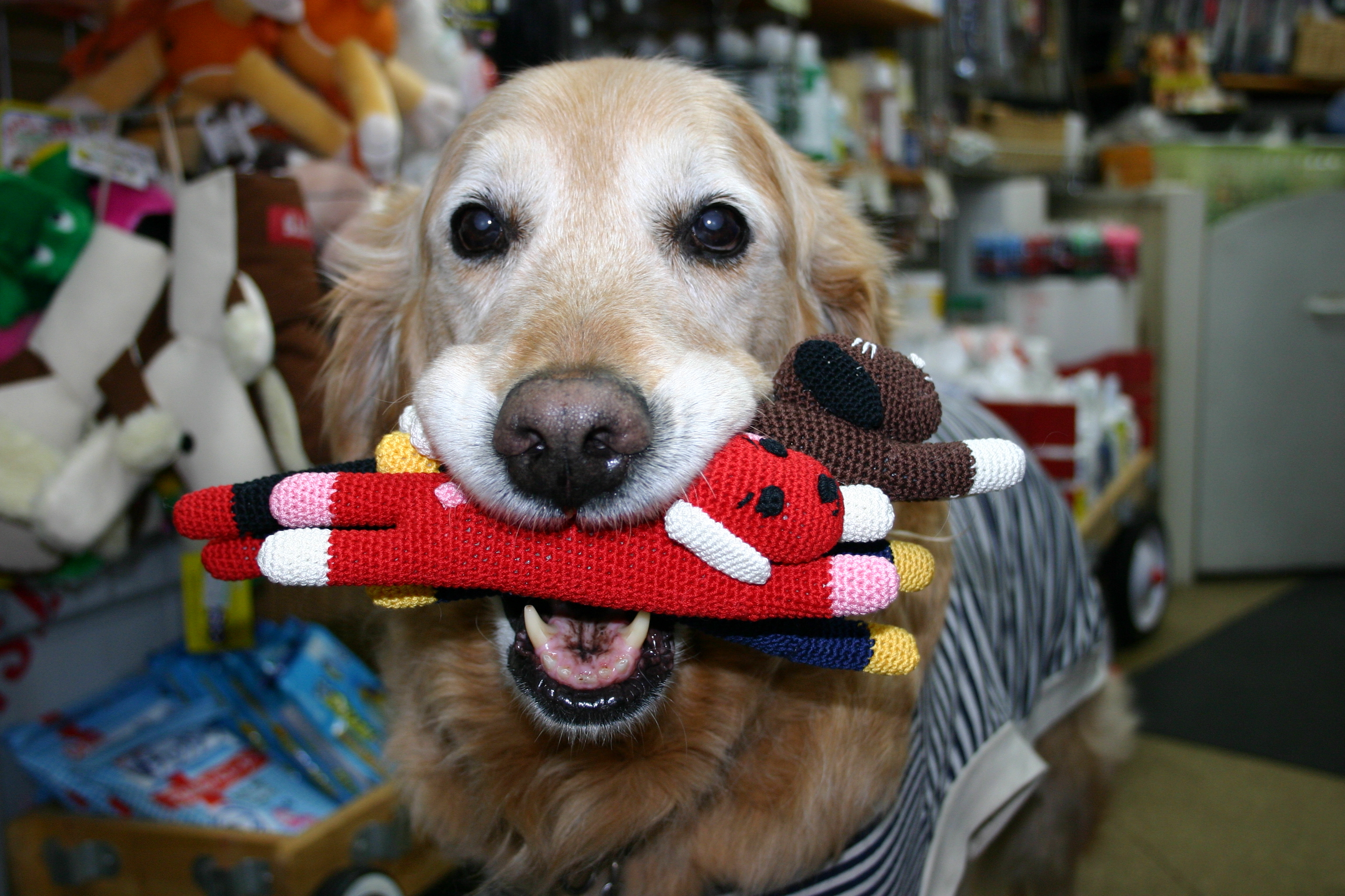 ファイル 9014-2.jpg