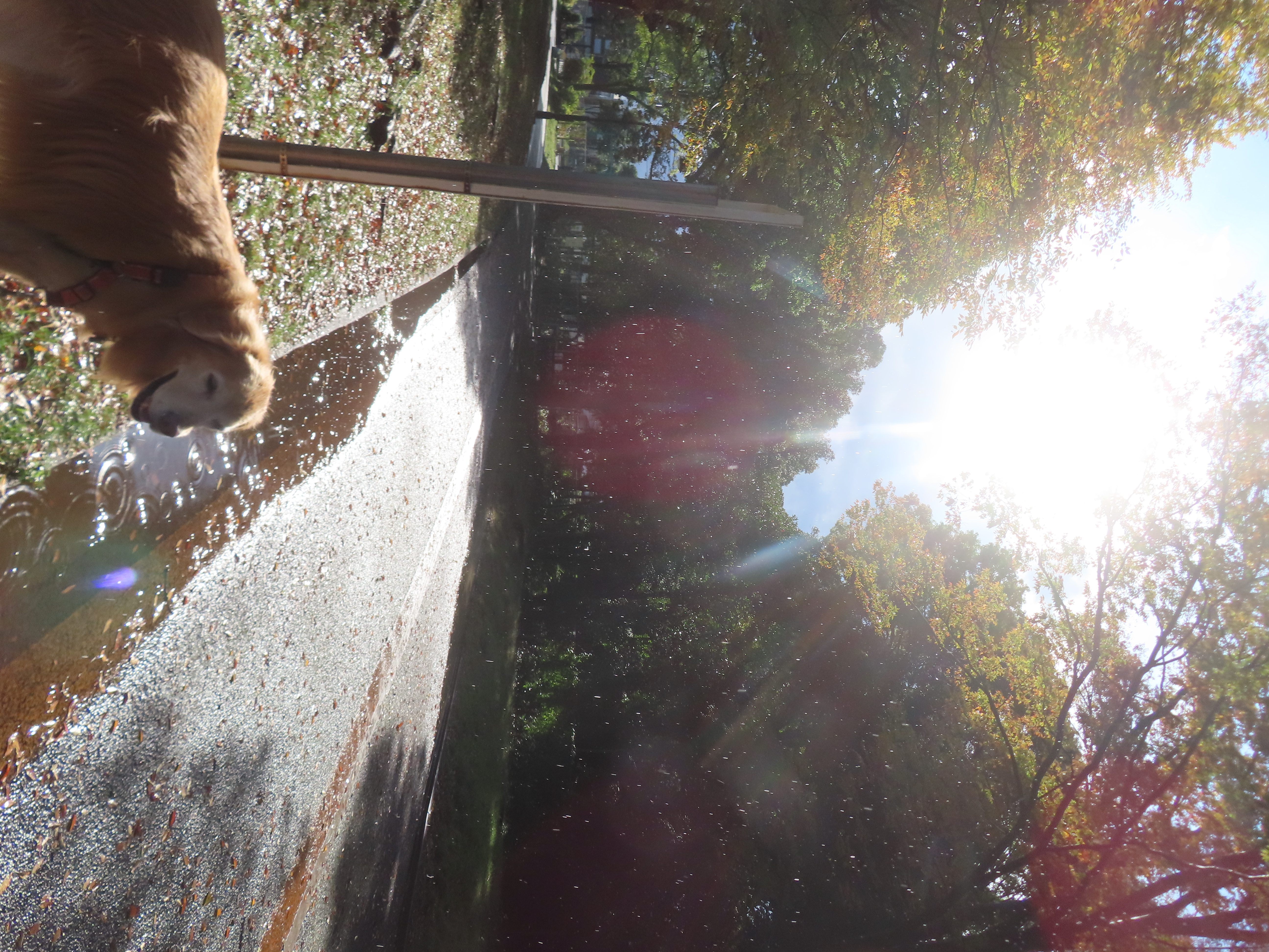 ファイル 9015-5.jpg