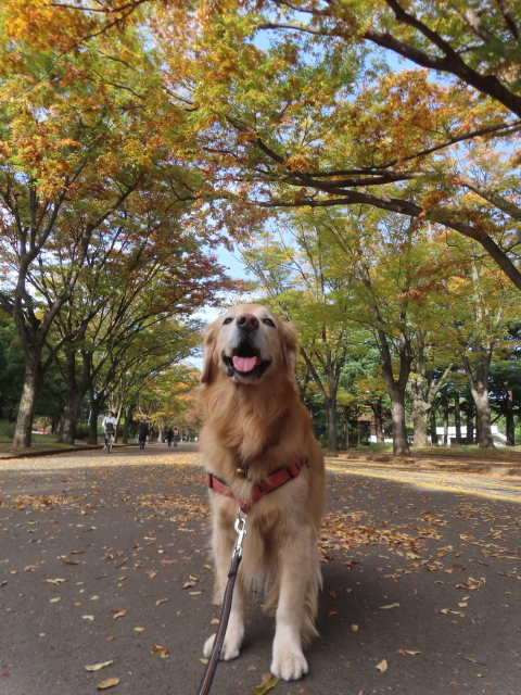 ファイル 9016-1.jpg