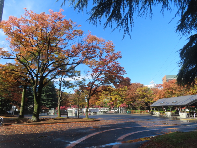 ファイル 9017-1.jpg