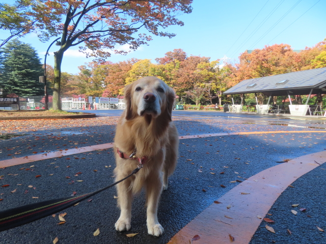 ファイル 9017-2.jpg