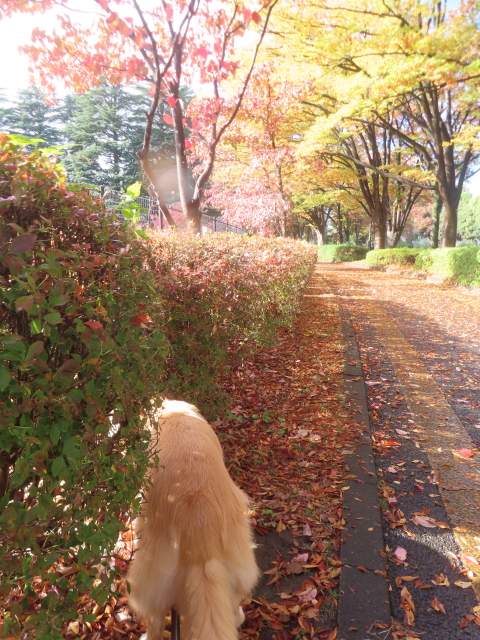 ファイル 9017-4.jpg