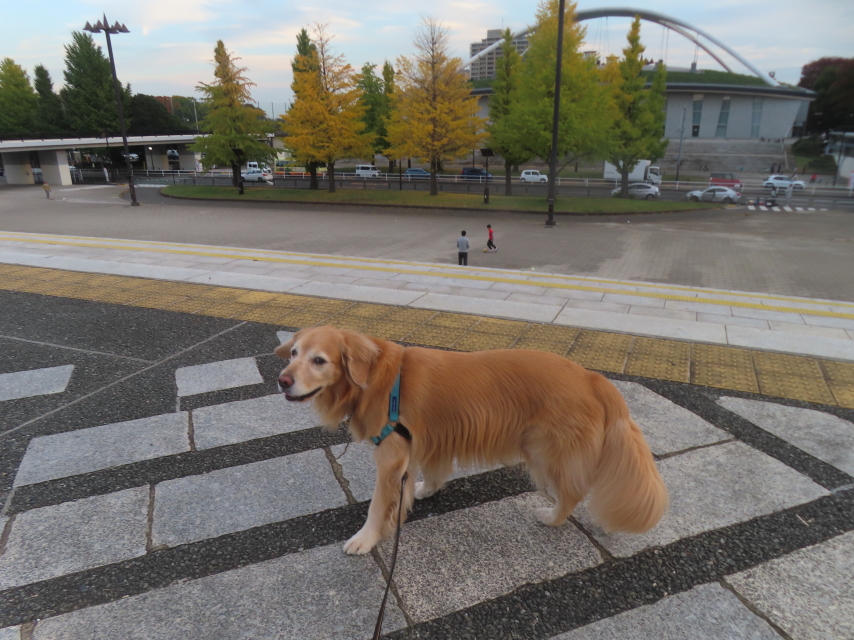 ファイル 9018-3.jpg