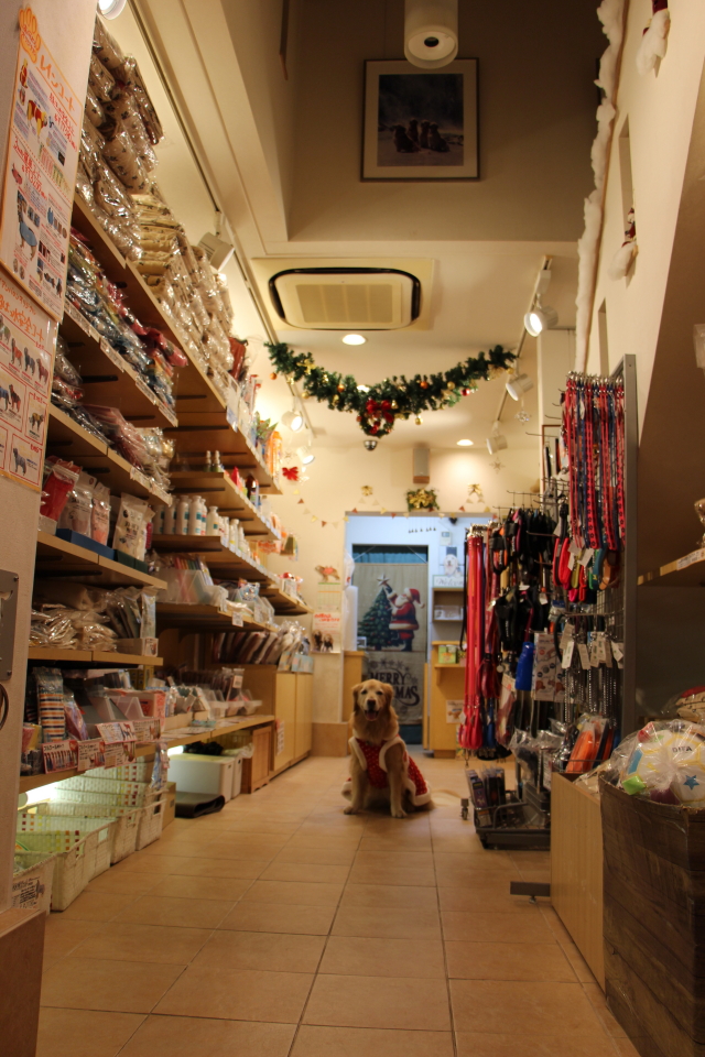 ファイル 9019-5.jpg