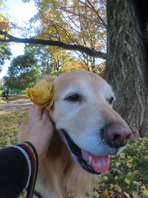 ファイル 9022-4.jpg