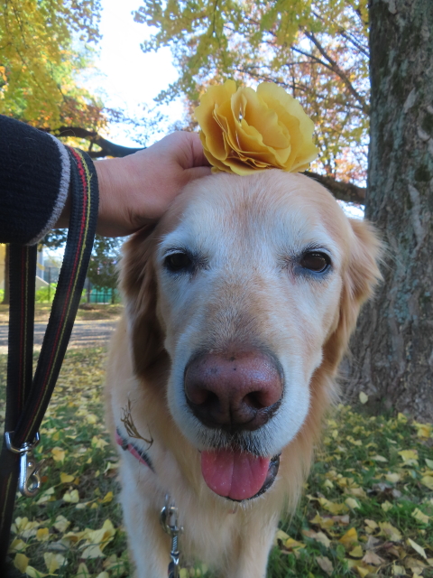 ファイル 9022-5.jpg