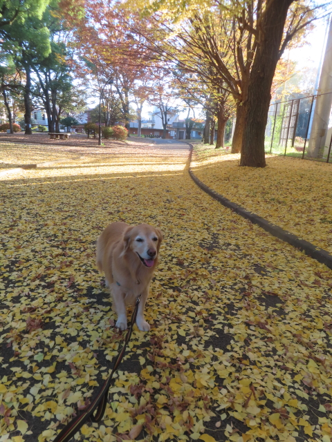 ファイル 9023-4.jpg