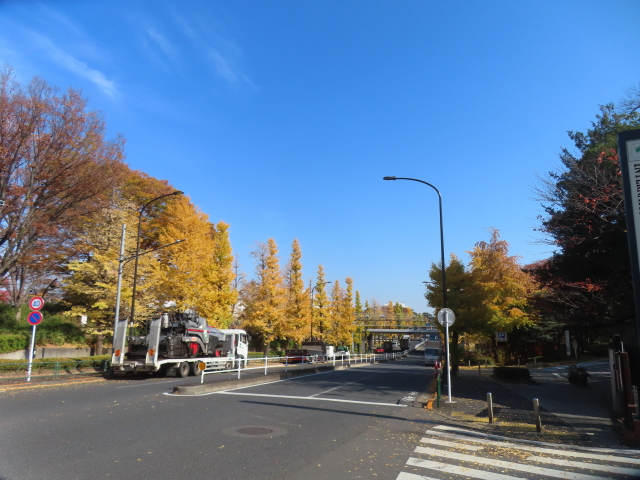 ファイル 9024-5.jpg