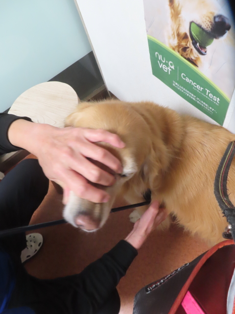 ファイル 9026-3.jpg