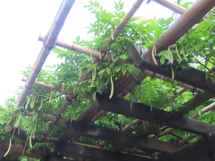 ファイル 9028-4.jpg