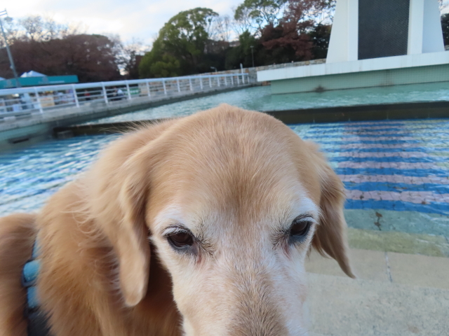 ファイル 9029-1.jpg