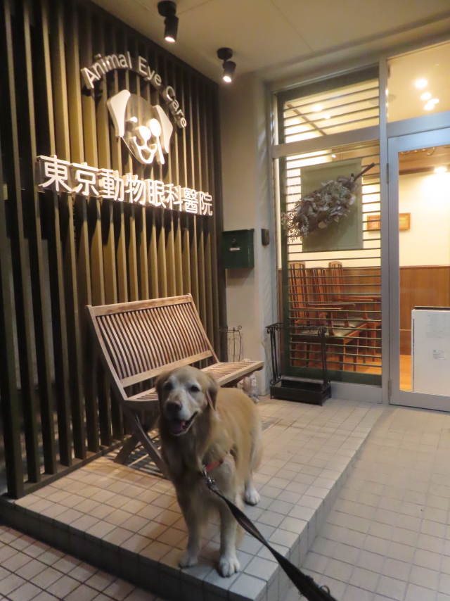 ファイル 9029-2.jpg