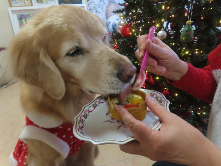 ファイル 9030-4.jpg