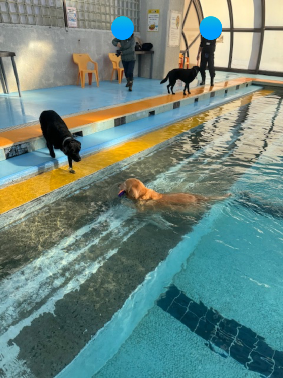 ファイル 9033-5.jpg